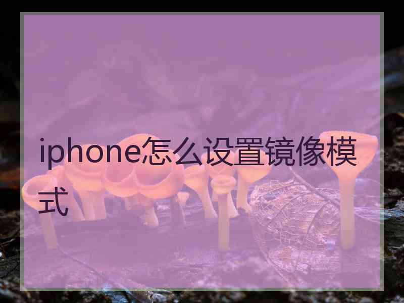 iphone怎么设置镜像模式