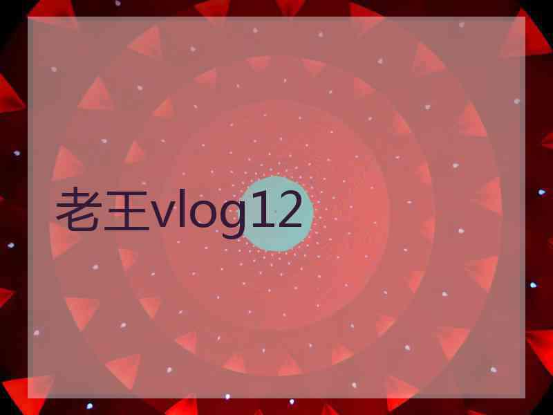 老王vlog12