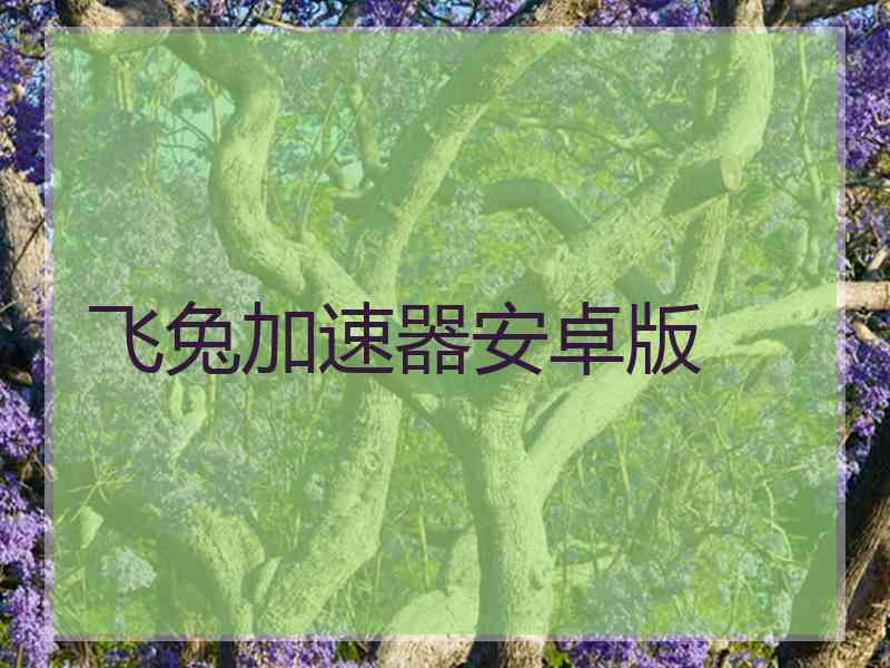 飞兔加速器安卓版