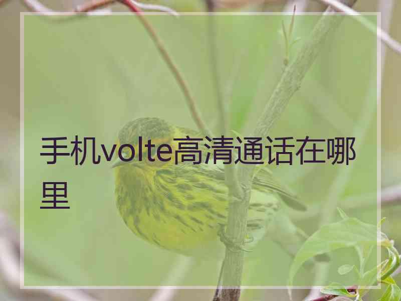 手机volte高清通话在哪里