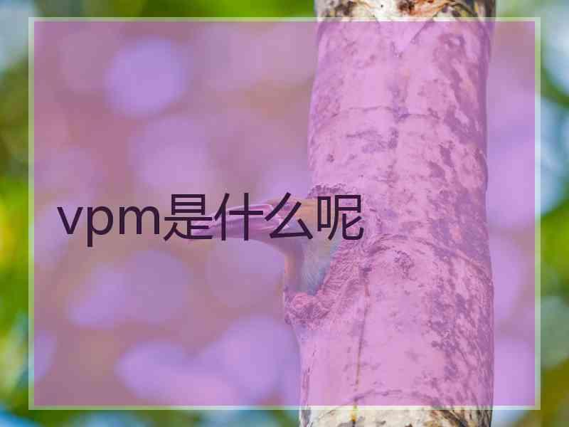 vpm是什么呢