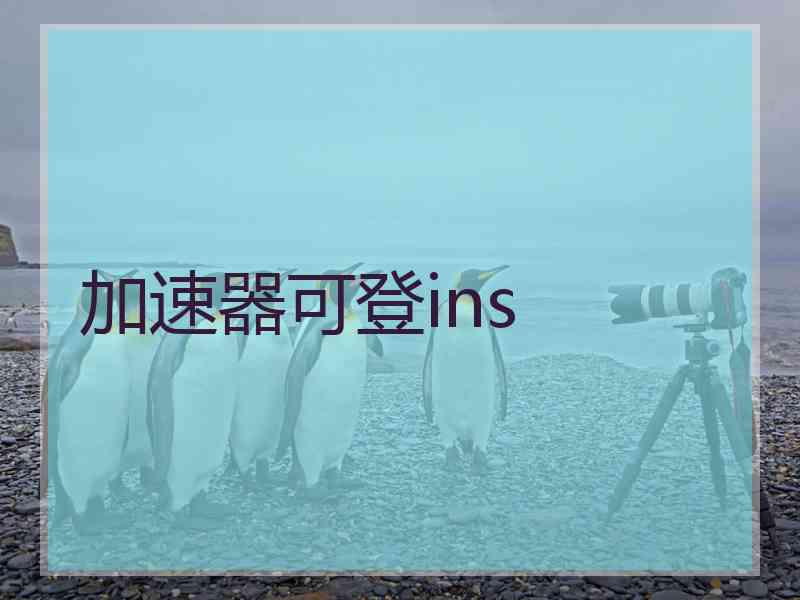 加速器可登ins