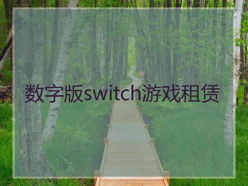 数字版switch游戏租赁