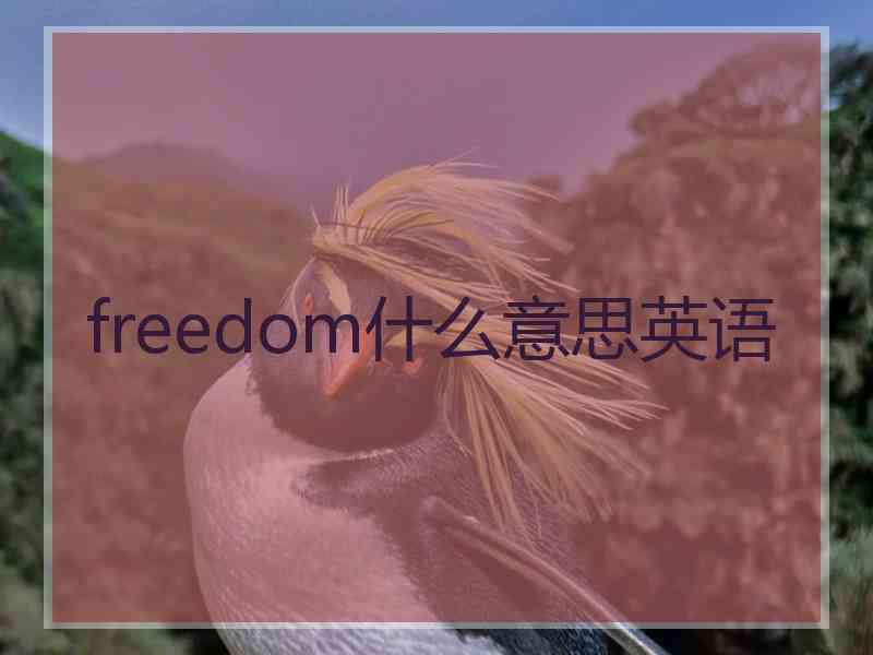 freedom什么意思英语