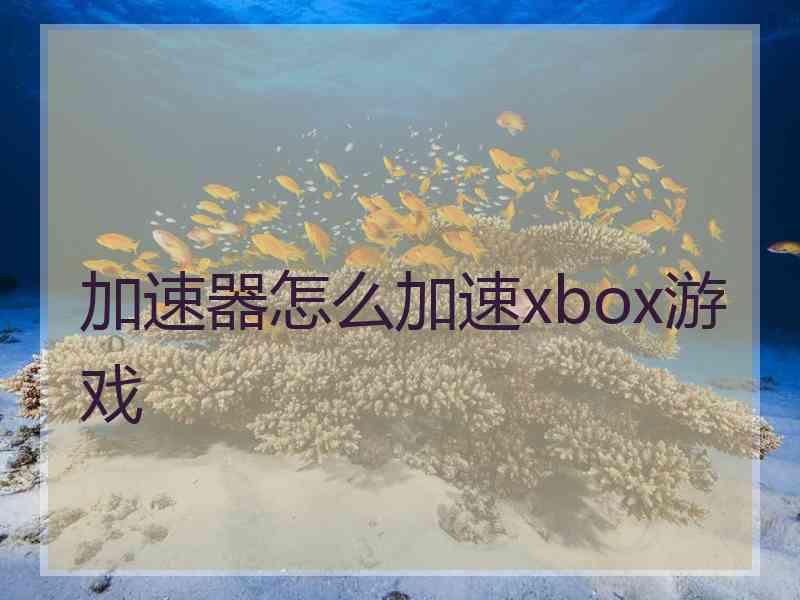 加速器怎么加速xbox游戏