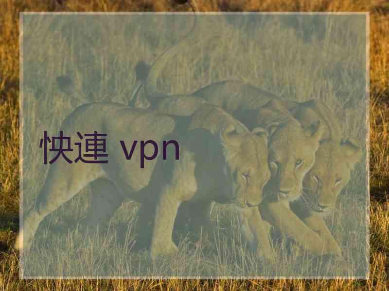 怏連 vpn