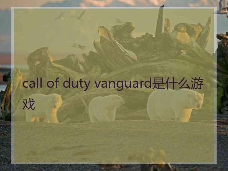 call of duty vanguard是什么游戏