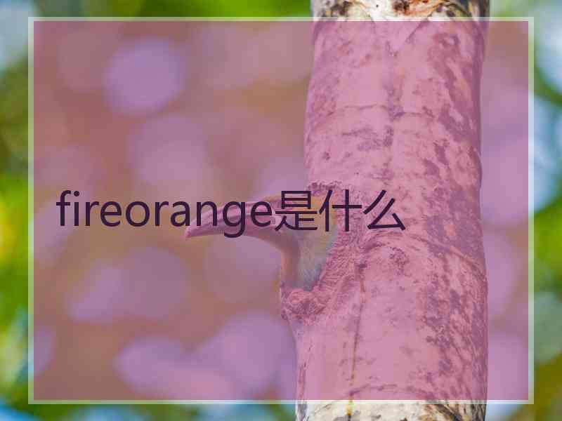 fireorange是什么