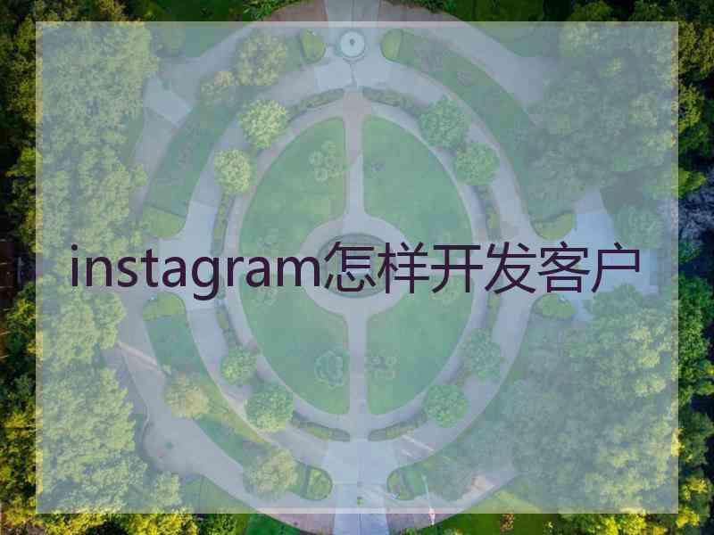 instagram怎样开发客户