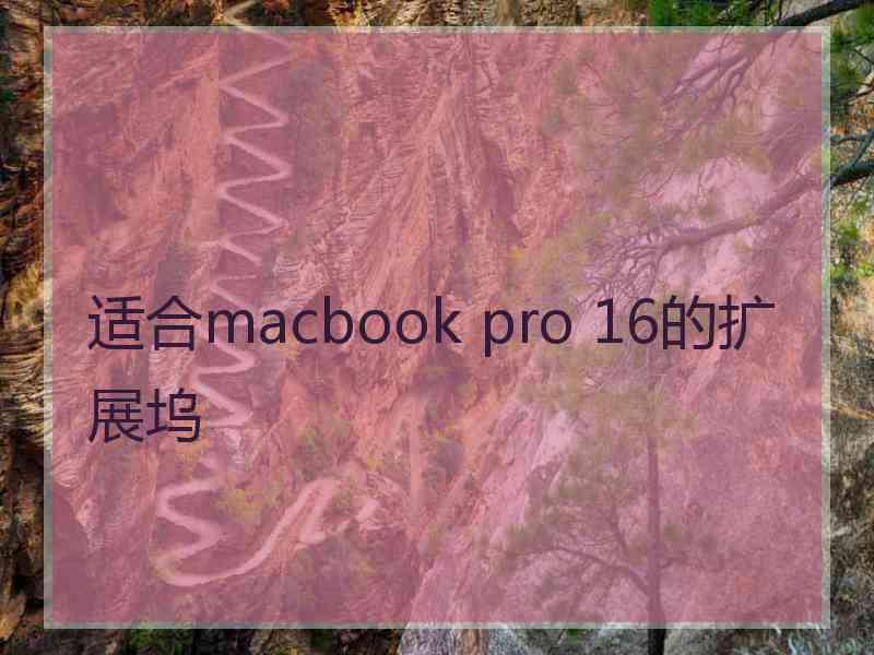 适合macbook pro 16的扩展坞