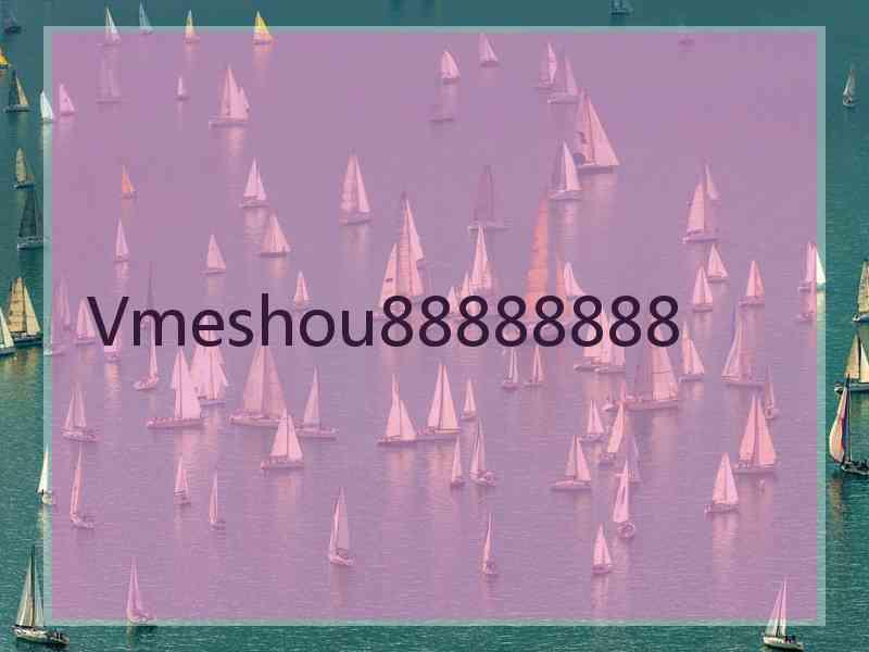 Vmeshou88888888