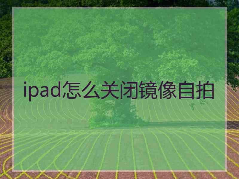 ipad怎么关闭镜像自拍