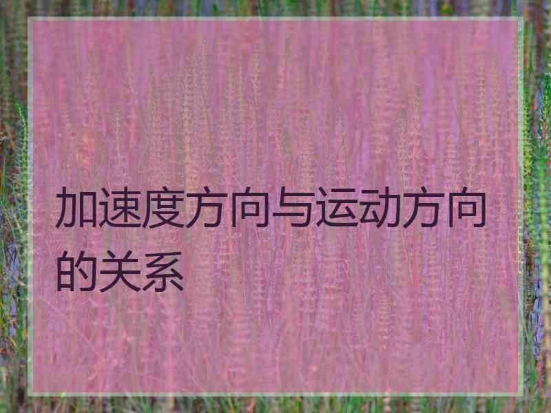 加速度方向与运动方向的关系