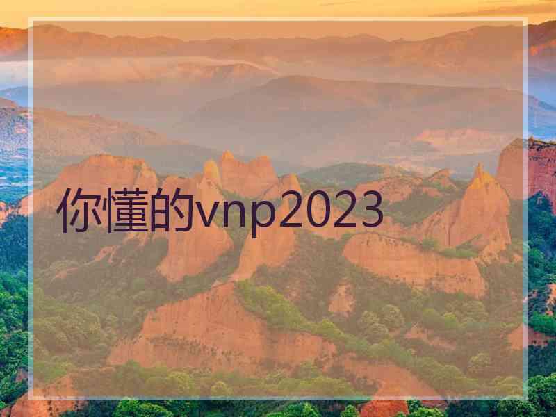 你懂的vnp2023