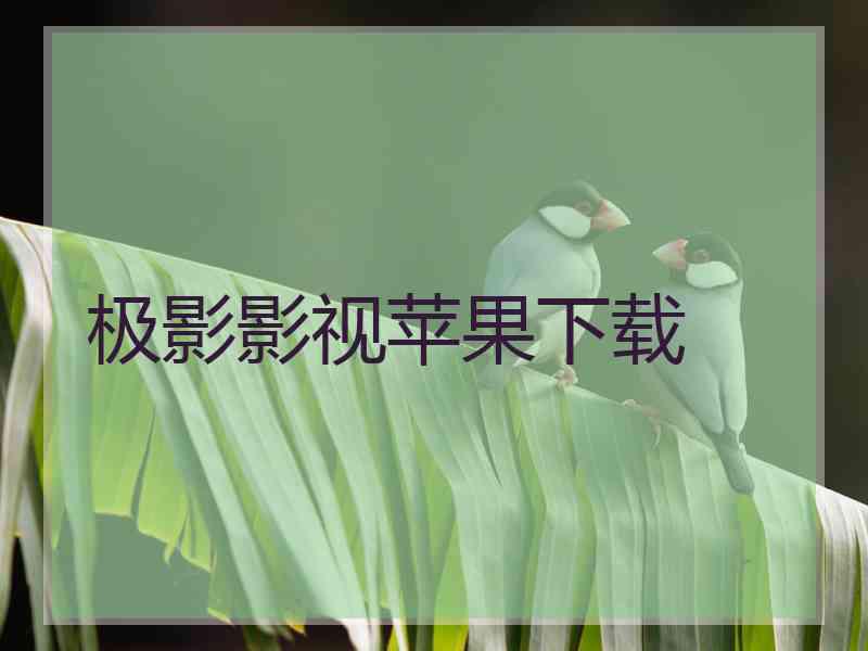 极影影视苹果下载