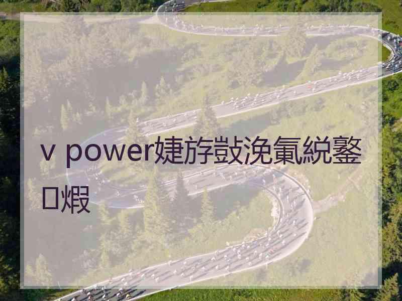 v power婕斿敱浼氭綐鐜煆