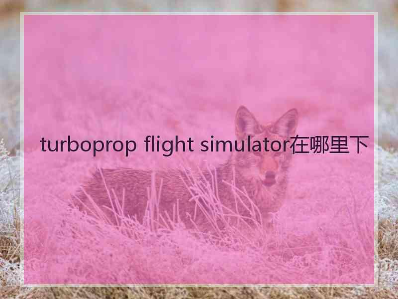 turboprop flight simulator在哪里下