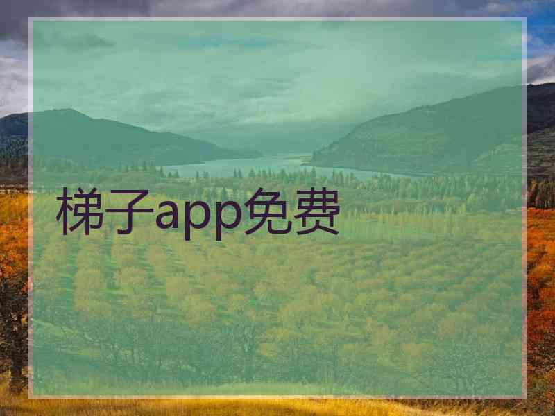 梯子app免费