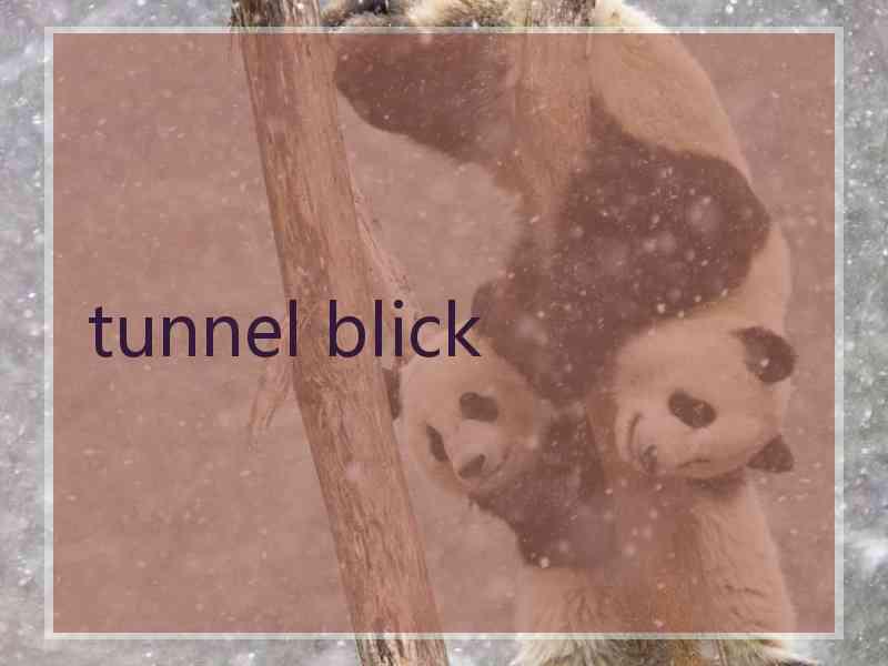 tunnel blick