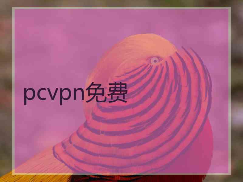 pcvpn免费