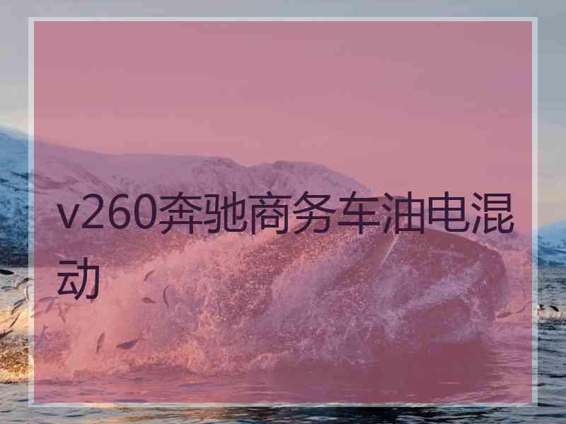 v260奔驰商务车油电混动