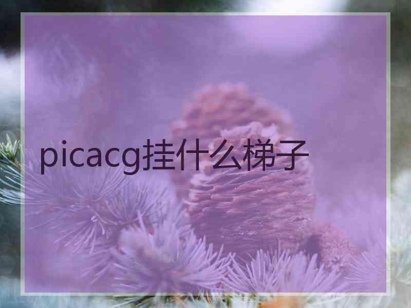 picacg挂什么梯子