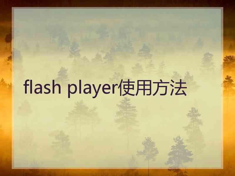 flash player使用方法