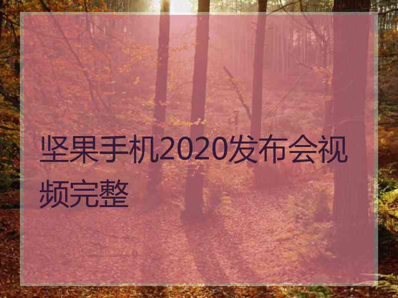 坚果手机2020发布会视频完整