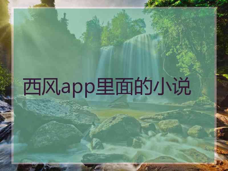 西风app里面的小说