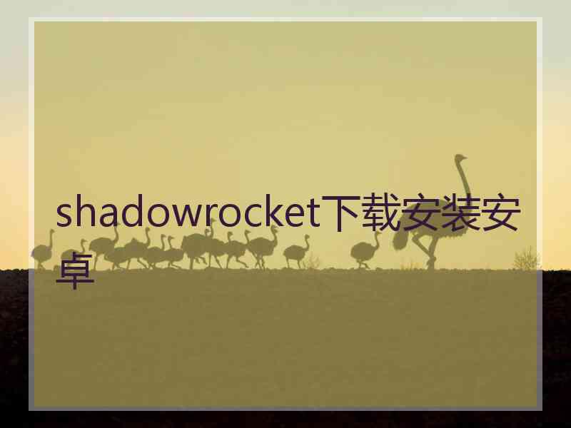 shadowrocket下载安装安卓