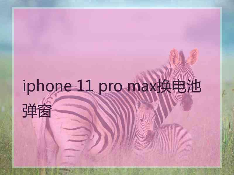 iphone 11 pro max换电池弹窗