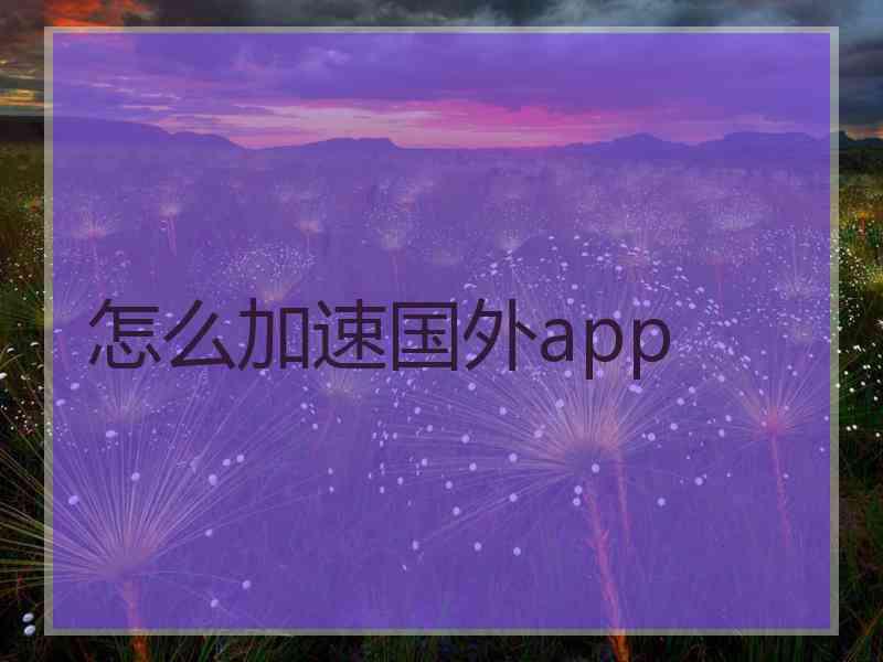 怎么加速国外app