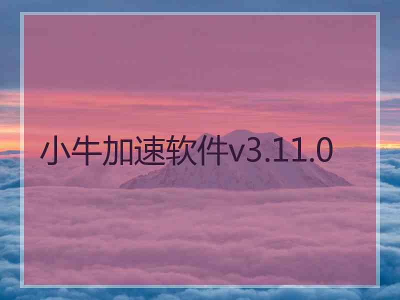 小牛加速软件v3.11.0