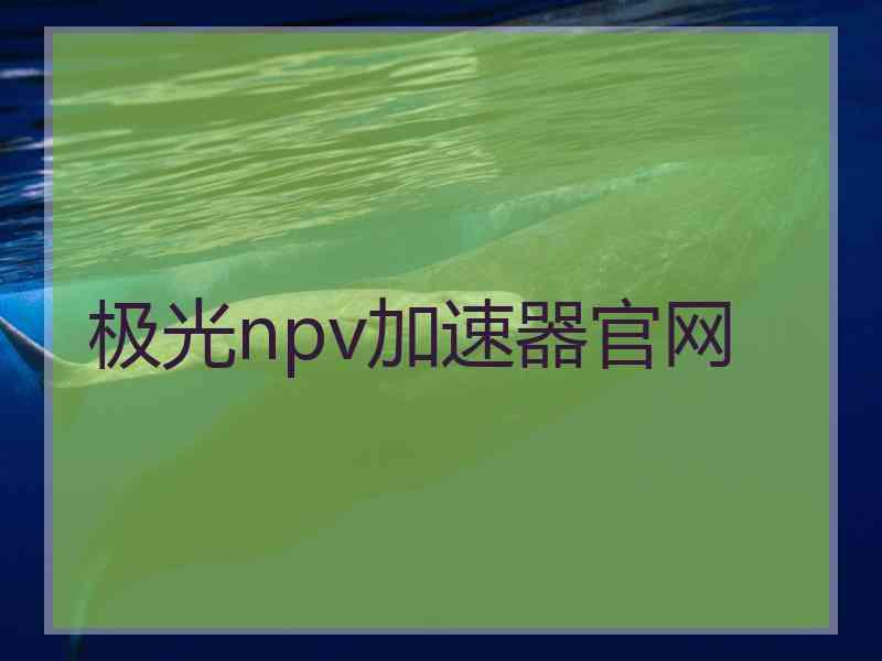 极光npv加速器官网