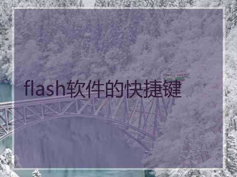 flash软件的快捷键