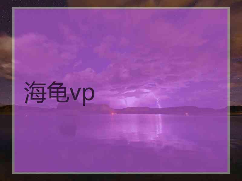 海龟vp