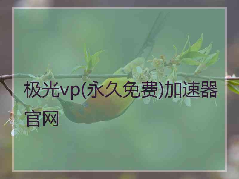 极光vp(永久免费)加速器官网