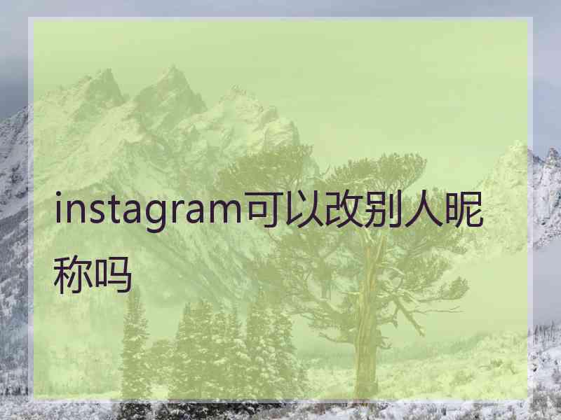 instagram可以改别人昵称吗