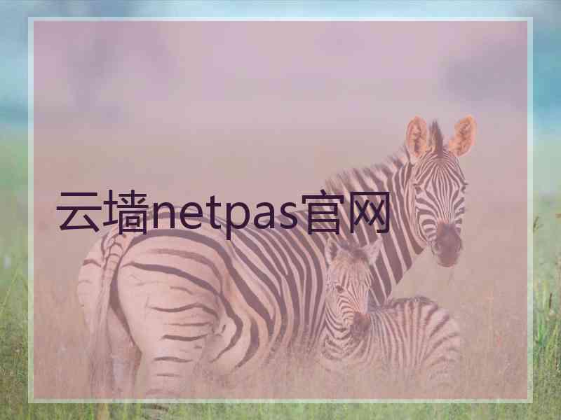 云墙netpas官网