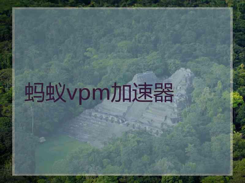 蚂蚁vpm加速器