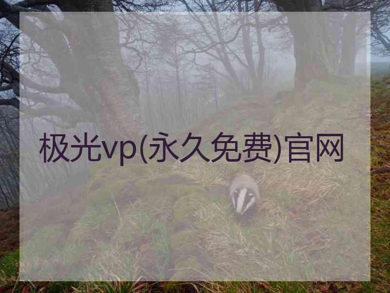 极光vp(永久免费)官网