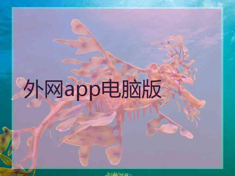 外网app电脑版