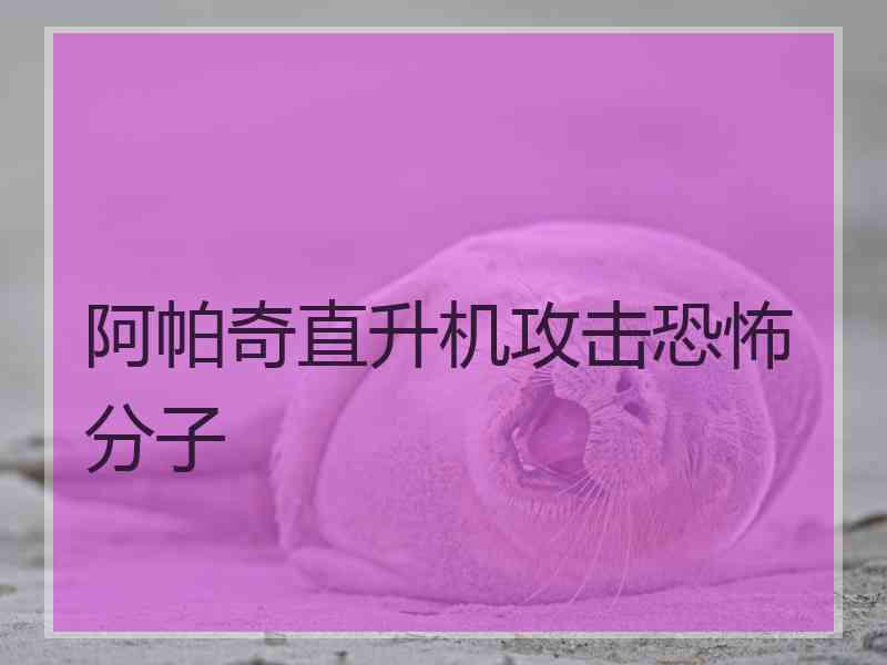 阿帕奇直升机攻击恐怖分子