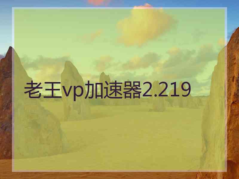 老王vp加速器2.219