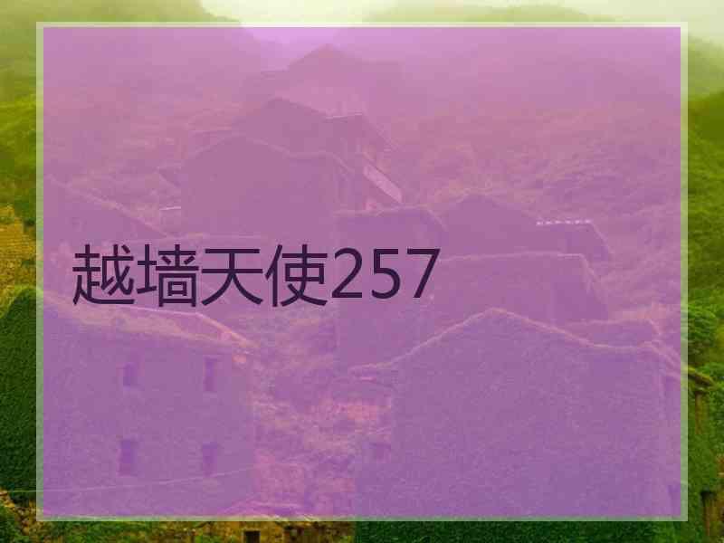 越墙天使257