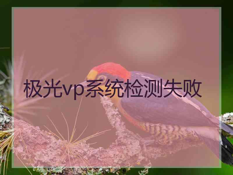 极光vp系统检测失败