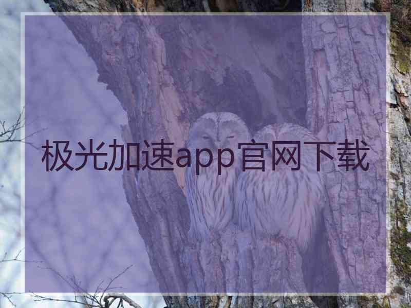 极光加速app官网下载