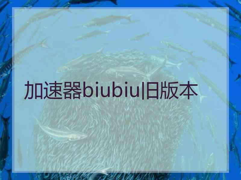 加速器biubiu旧版本