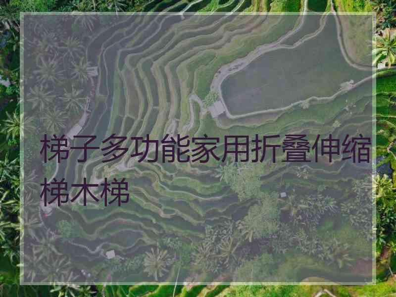 梯子多功能家用折叠伸缩梯木梯