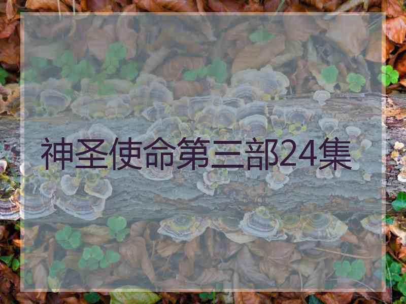 神圣使命第三部24集